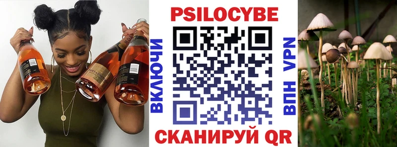 где купить наркоту  Зеленокумск  Галлюциногенные грибы Psilocybine cubensis 